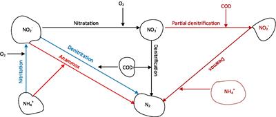 Biological nitrogen removal from low carbon wastewater